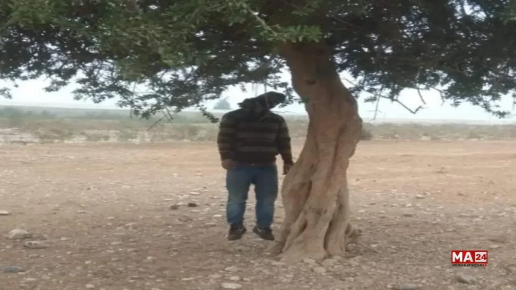 صورة معبرة