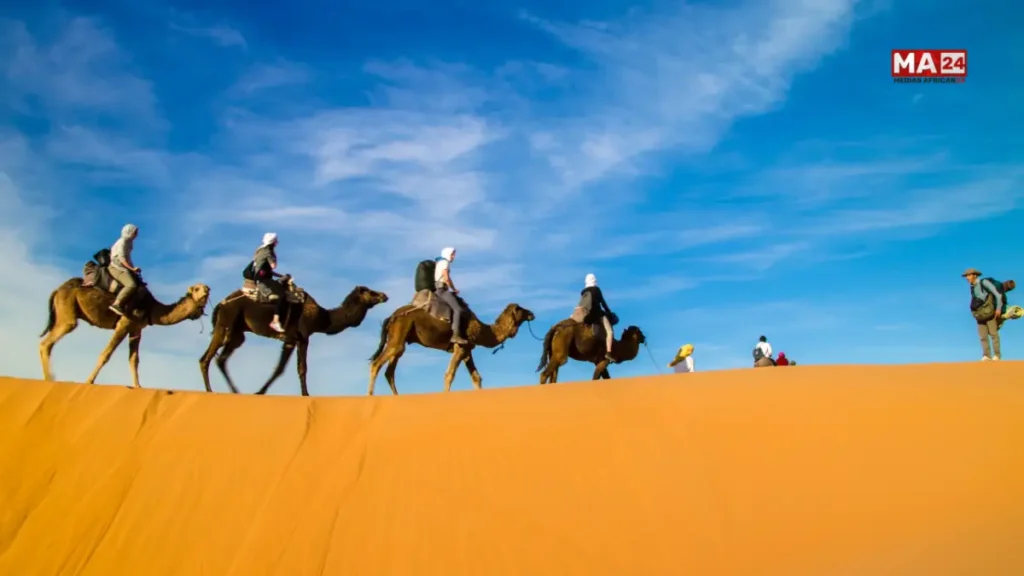 مرزوكة، سياحة صحراوية، المغرب، عرق الشبي، رحلات الجمال، مخيمات صحراوية، سياحة استشفائية، الحمامات الرملية، ثقافة محلية، درعة تافيلالت