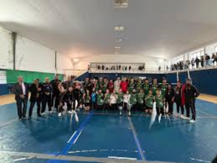 تتويج تاريخي لشابات الدفاع الحسني بلقب الكرة الطائرة